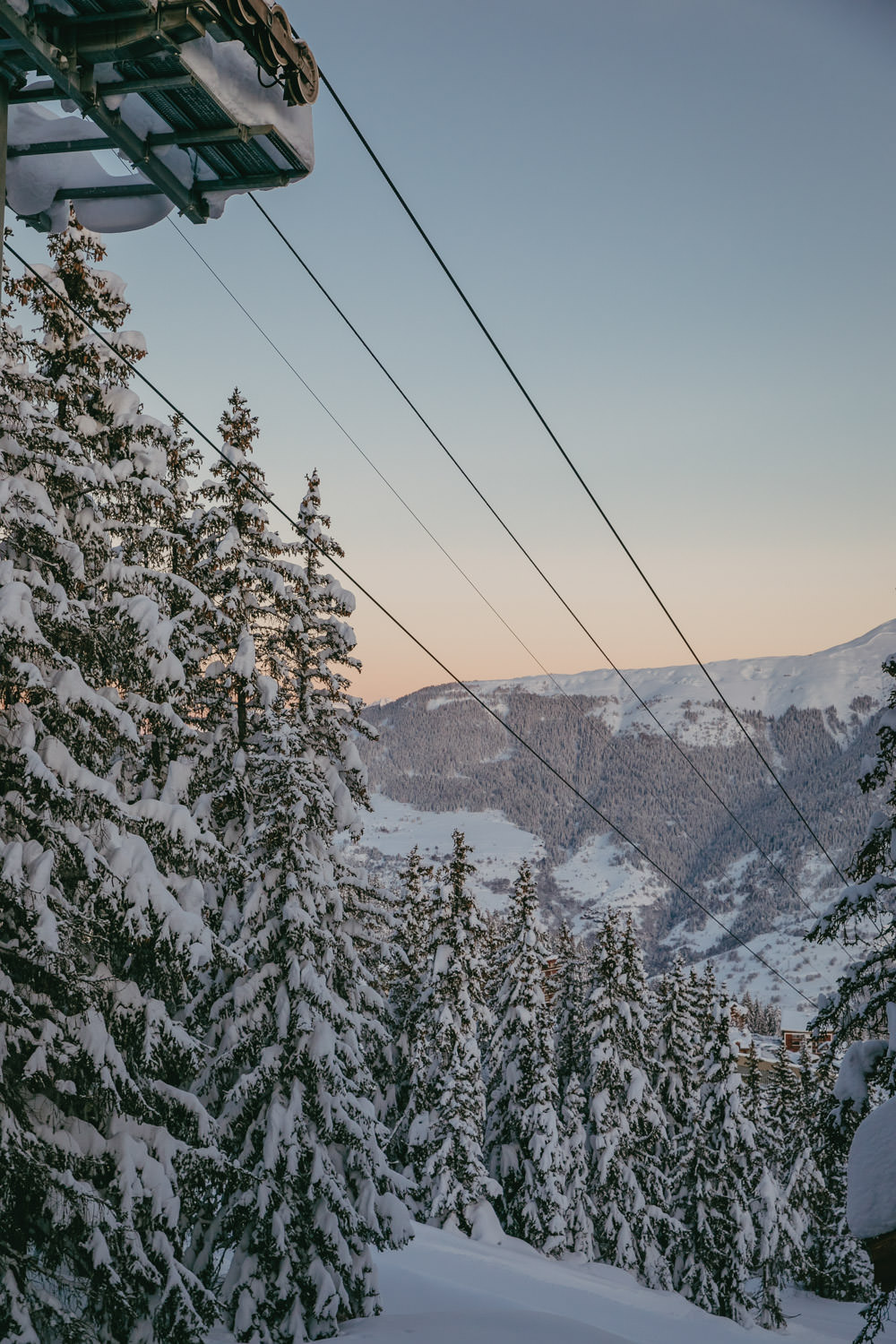snow covered tree overlooking the mountains at sunrise in courchevel