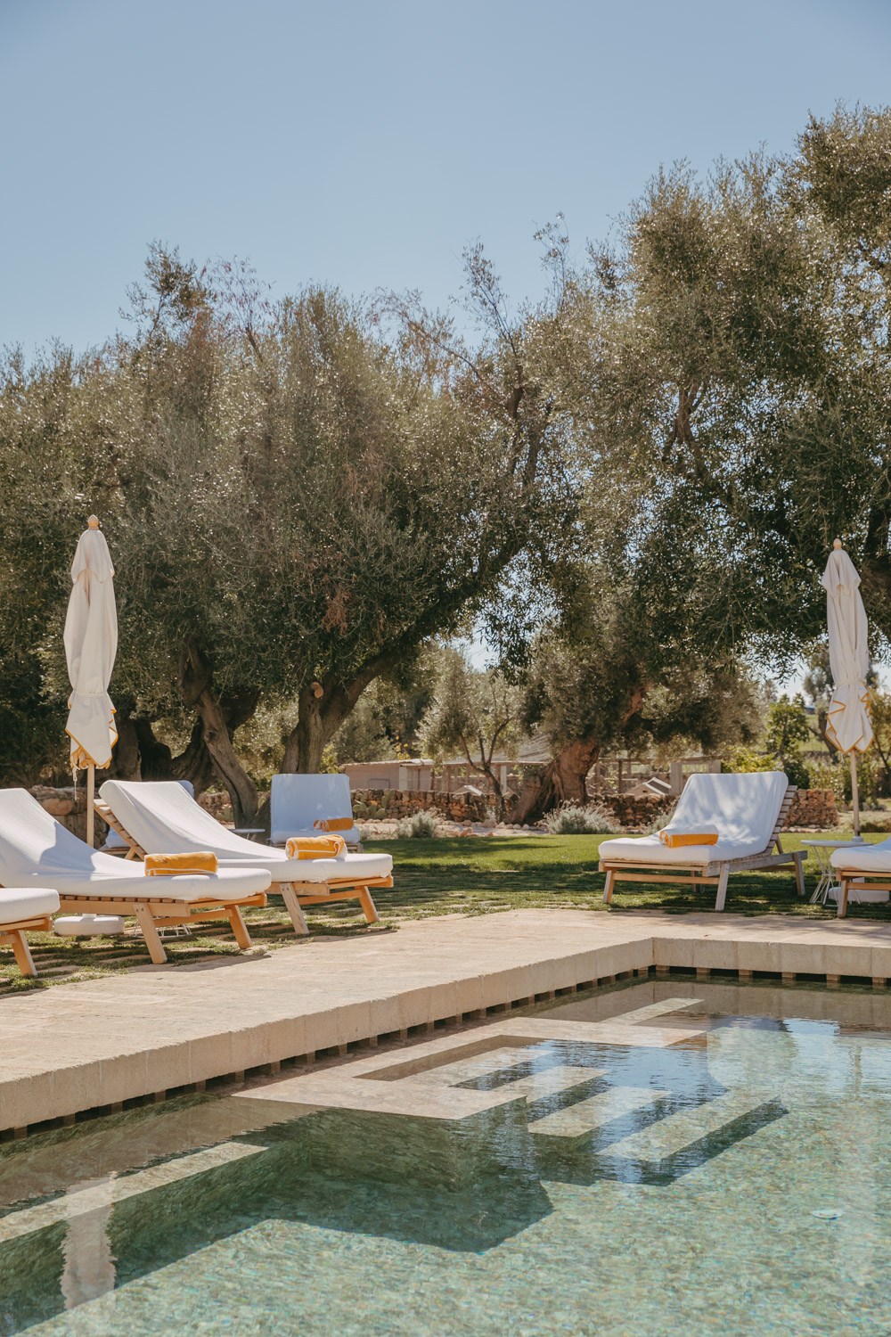 pool, sunloungers and olive trees at masseria calderisi