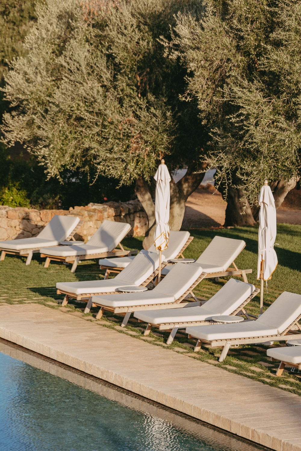 sunloungers by the pool with olive trees in the background