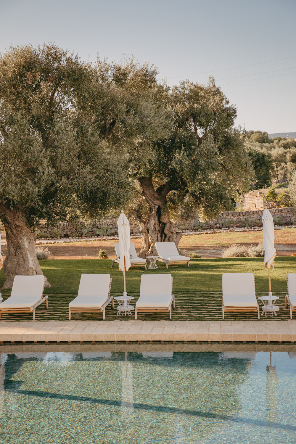 sunchairs aligned by the pool of masseria calderisi