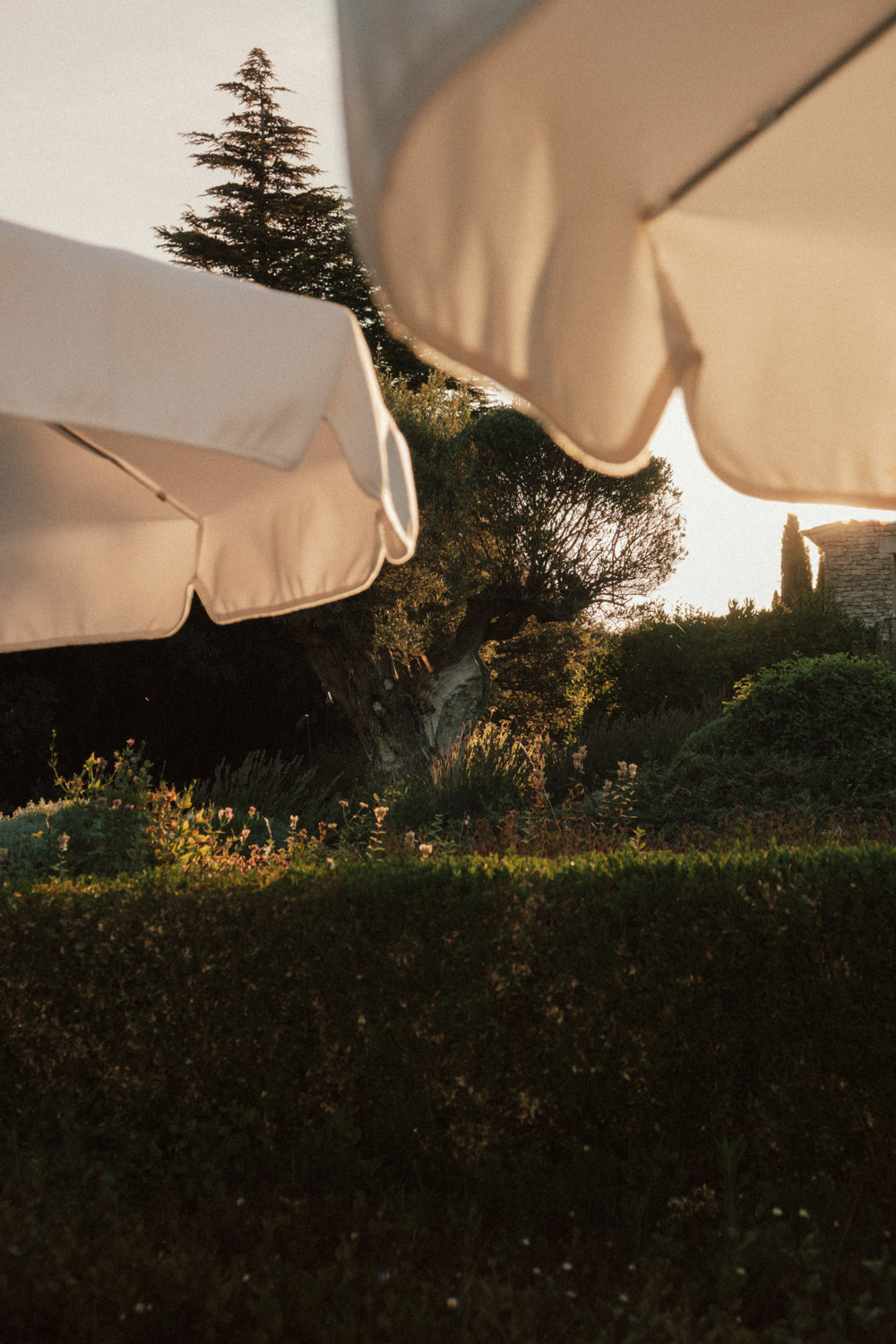 parasol du capelongue